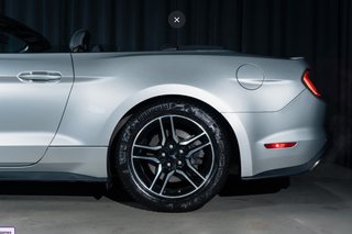 Ford Mustang GT Convertible V8 450 CV