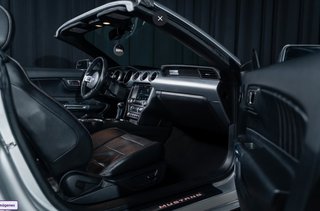 Ford Mustang GT Convertible V8 450 CV