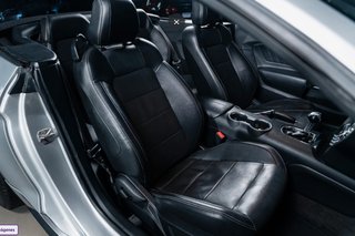Ford Mustang GT Convertible V8 450 CV