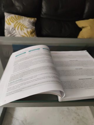 Lengua castellana y literatura. Proyecto Ítaca