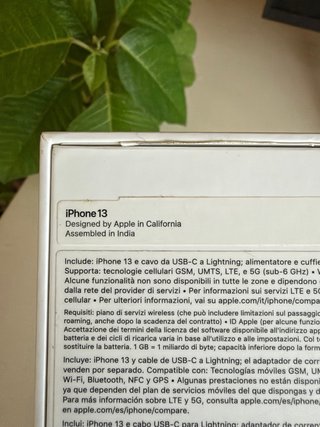 iPhone 13
