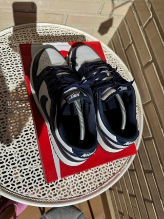 Zapatillas Nike Dunk Azules y Blancas
