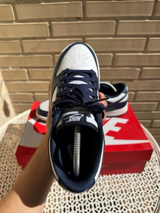 Zapatillas Nike Dunk Azules y Blancas