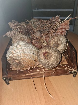 Decorazioni Natalizie con Pigne