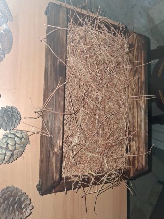 Decorazioni Natalizie con Pigne