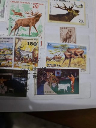 Francobolli Cani e Fauna Selvatica