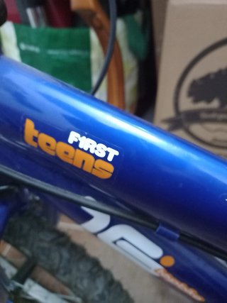 Bicicleta infantil azul 16