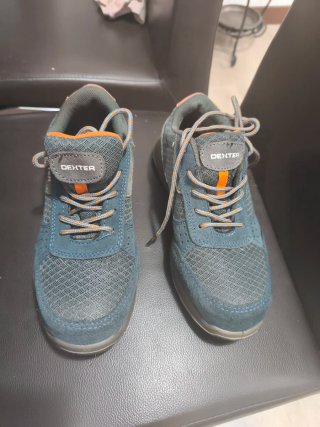 Zapatos de seguridad Dexter azul/gris