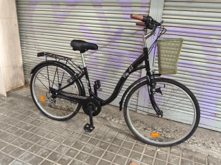 Bicicleta Paseo