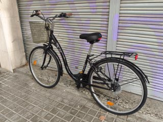 Bicicleta Paseo
