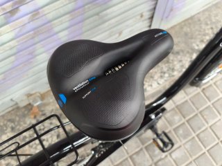 Bicicleta Paseo