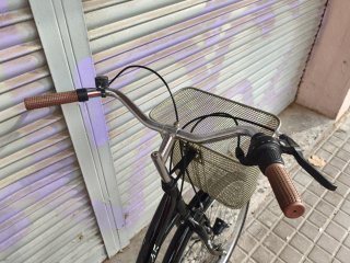 Bicicleta Paseo