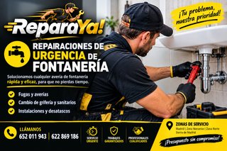 REPARAYA