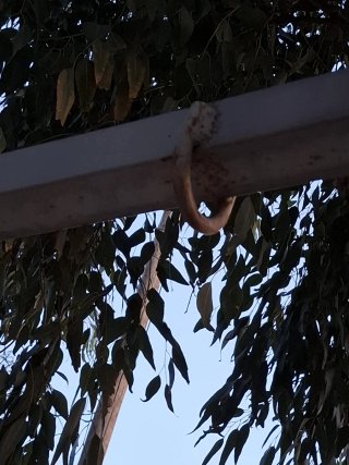 Estructura de hierro para columpio o balancín