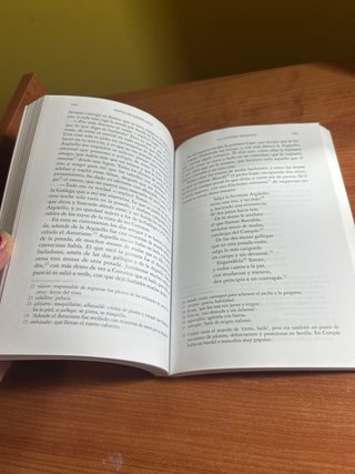 El licenciado Vidriera y otras novelas ejemplares