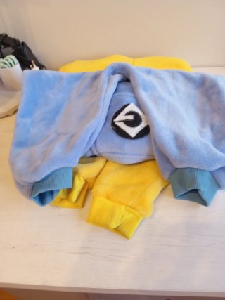 Disfraz de Minion