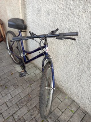 Bicicleta de Paseo Azul