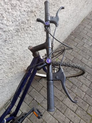 Bicicleta de Paseo Azul