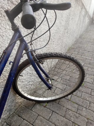 Bicicleta de Paseo Azul