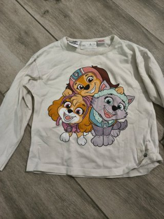 Lote 6 camisetas niña manga larga