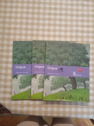 Lingua, 5 Primaria Celme