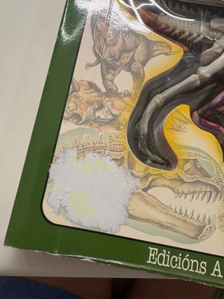 O tiranosauro (descubrindo os corpos)
