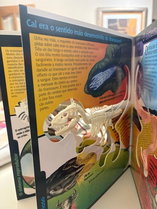 O tiranosauro (descubrindo os corpos)
