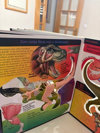 O tiranosauro (descubrindo os corpos)