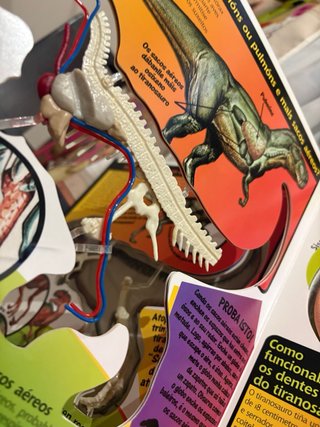 O tiranosauro (descubrindo os corpos)