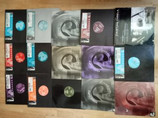 Lote 40 Vinili Techno Progressivo
