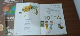 Lote Libros Lectura SENDA EGB Santillana