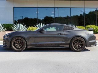 MUSTANG GT PERFORMANCE V8 MANUAL CARBONO ÚNICO.