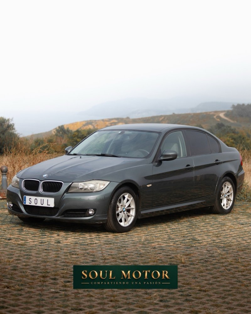 BMW Serie 3 2010