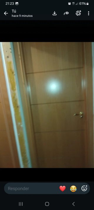 9 Puertas de vivienda - 80€/unidad