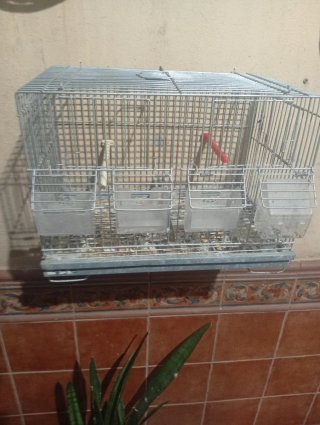 Jaula para pájaros de 40 cm