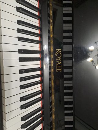 Piano Negro Brillante