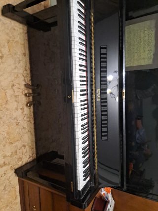 Piano Negro Brillante