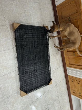 Jaula XXL Perro Doble Puerta