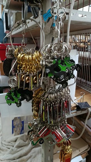 Colección de llaveros variados
