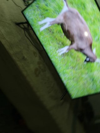 Smart TV Samsung 50 pulgadas
