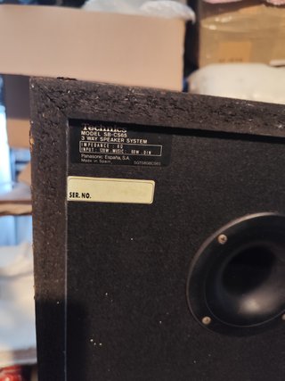 Altavoces Technics SB-CS65