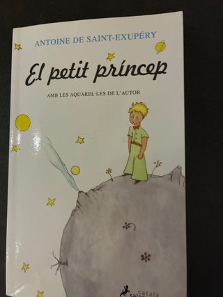 El petit princep