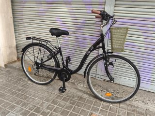 Bicicleta paseo