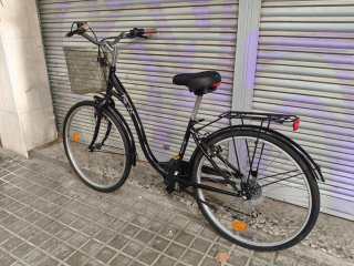 Bicicleta paseo