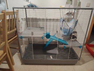 Jaula para hurón con accesorios
