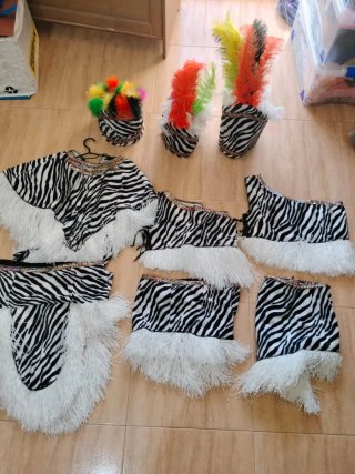 Precio de los tres disfraces de Carnaval Cebra