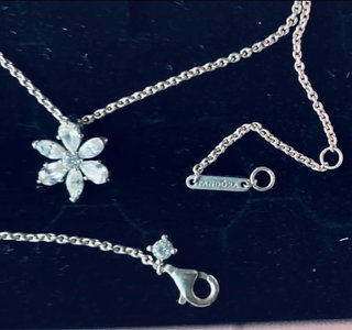 Conjunto de collar y pendientes Pandora