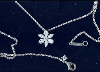 Conjunto de collar y pendientes Pandora
