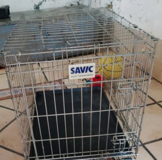 Jaula para Perros Plegable el precio es por las 2