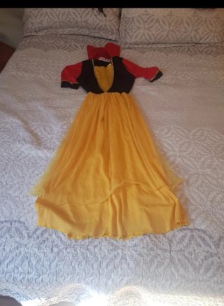 Disfraz Infantil de Princesa